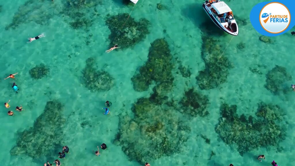 Praias de Maceió e Maragogi piscinas-naturais-de-maragogi-alagoas
