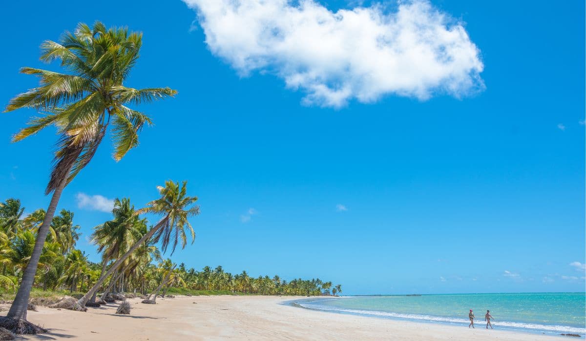 PRAIA DE IPIOCA EM MACEIÓ - ALAGOAS