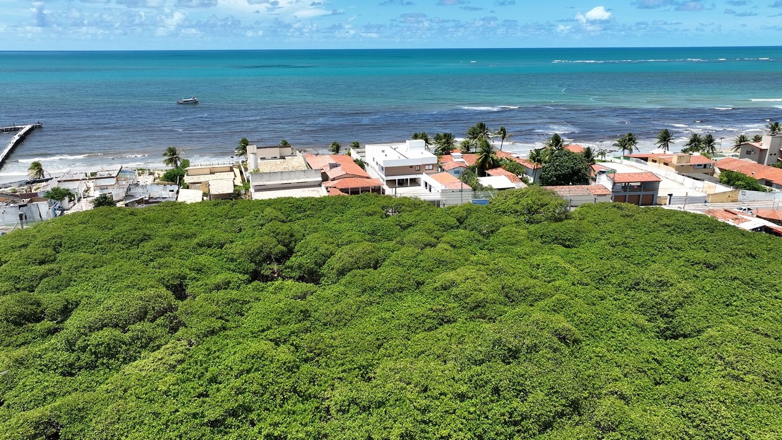 https://partiudeferias.com.br/wp-content/uploads/2025/07/maior-cajueiro-do-mundo-pirangi-parnamirim-rio-grande-do-norte.jpg